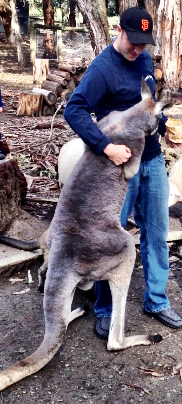 Giving a Roo a hug, but soon after he shoulder shrugged me off and insisted on the rest of the food I held. Not a friendly shrug either.