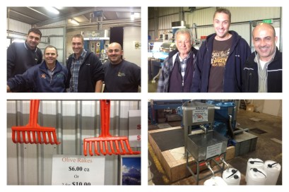 Awesome Olive Oil Families, Rakes for Picking Olives, Where Customers Fill Their Containers