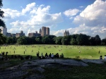 Central Park Sheep Meadow