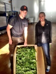 My sister Gina and I admiring the fresh basil leaves delivered for harvest